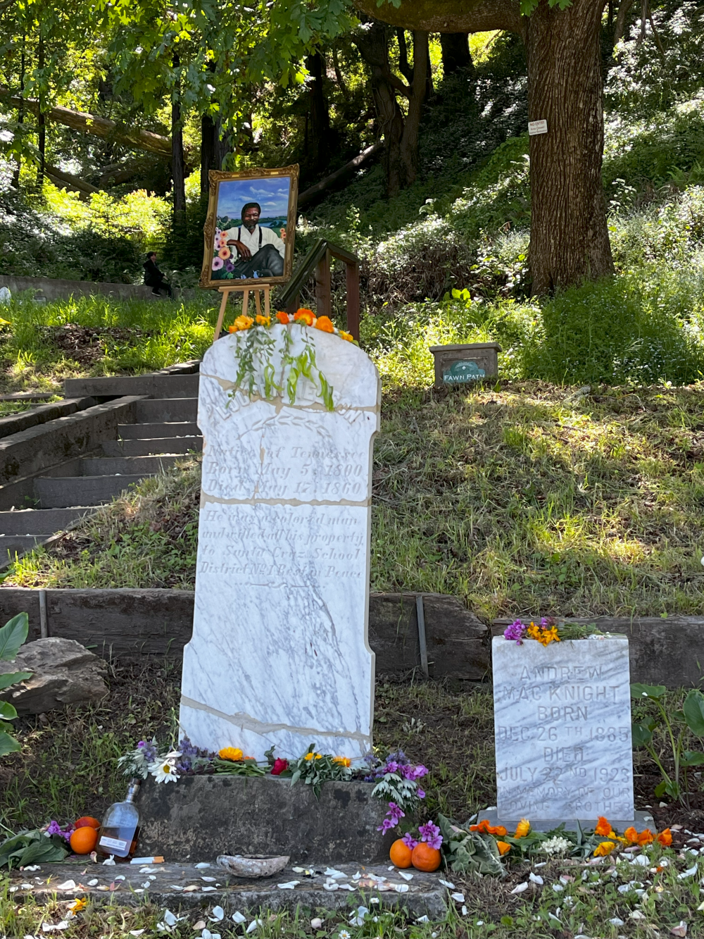 Evergreen Grave