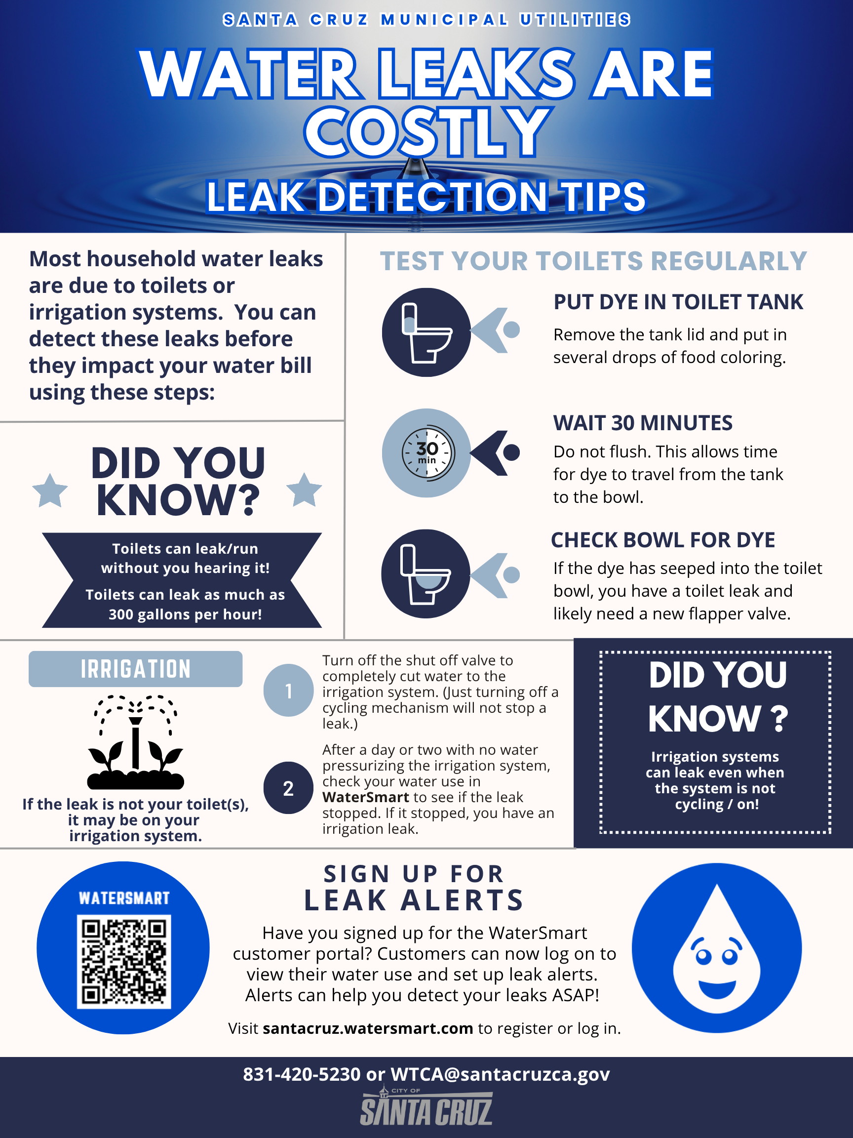 Leak Detection Tips Infographic