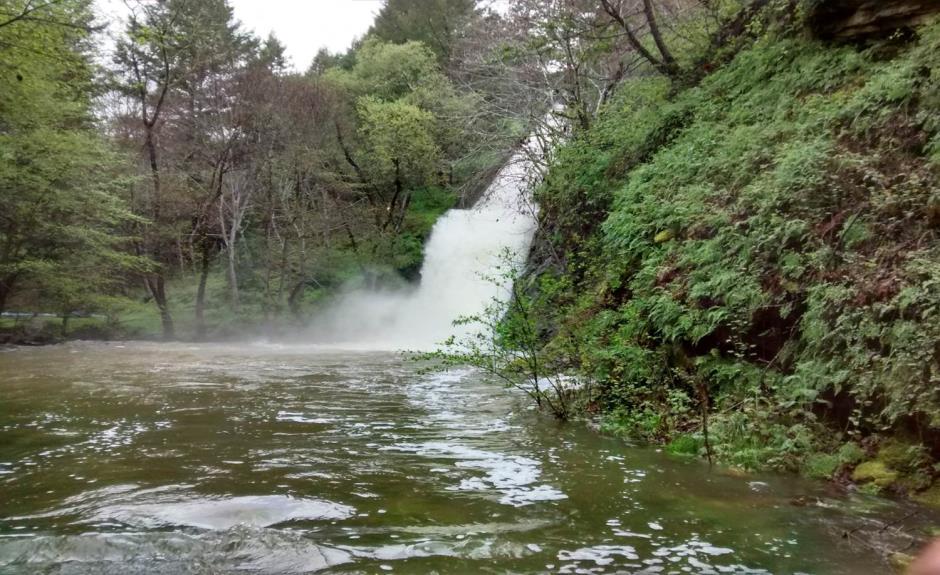 Newll Creek Spillway
