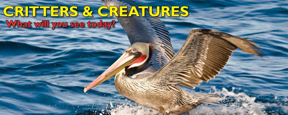 16 Wharf Banner 3 - Copy